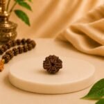Top view of a certified Natural 6 Mukhi Rudraksha bead displaying six natural mukhis and the central opening. Premium Nepal Rudraksha from Pure Gems World.