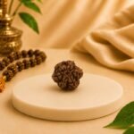 Side profile of an authentic 6 Mukhi Nepal Rudraksha showing its natural grooves and texture. Certified Rudraksha for meditation, spirituality, and astrology by Pure Gems World.