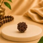 Top view of a certified Natural 6 Mukhi Rudraksha bead displaying six natural mukhis and the central opening. Premium Nepal Rudraksha from Pure Gems World.