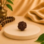 Top view of a natural 7 Mukhi Rudraksha bead showing seven natural mukhis and central opening. Premium certified Nepal Rudraksha from Pure Gems World.