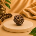 Original 7 Mukhi Rudraksha bead from Nepal displayed on a premium platform. Natural and lab-certified Rudraksha associated with Goddess Mahalakshmi for prosperity, abundance, and spiritual growth by Pure Gems World.