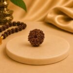 8 Mukhi Rudraksha bead displayed on a beige pedestal with prayer beads and traditional decor