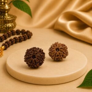 Premium 8 Mukhi Rudraksha natural Indian Lab Certified Rudraksha beads displayed on a white platform with a premium spiritual background.