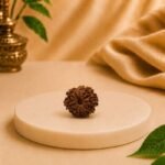 9 Mukhi Rudraksha (Natural & Authentic) | Lab Certified Nepali Rudraksha Bead - Image 2