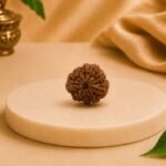 9 Mukhi Rudraksha (Natural & Authentic) | Lab Certified Nepali Rudraksha Bead - Image 3
