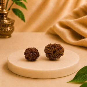 Premium 9 Mukhi Rudraksha Natural Authentic Nepal Lab Certified Bead