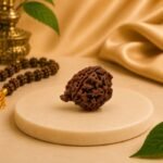 Natural Ganesh Mukhi Rudraksha bead displayed on a beige pedestal with traditional prayer beads