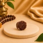 Natural Ganesh Mukhi Rudraksha bead displayed on a beige pedestal with traditional prayer beads
