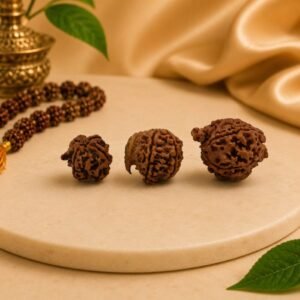 Natural Ganesh Mukhi Rudraksha beads displayed on a beige pedestal with traditional prayer beads