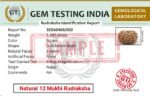 Sample Lab Certificate for Gauri Garbh Rudraksha displaying a Gem Testing India authentication report with specimen image and certification details.