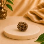 Front view of an original natural 11 Mukhi Nepal Rudraksha bead displaying eleven clearly defined natural mukhis with premium quality texture.