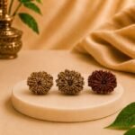Multiple angle display of original certified 11 Mukhi Nepal Rudraksha showing front, side, and back views for authenticity verification.