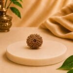 Original 12 Mukhi Nepal Rudraksha front view with clearly defined natural twelve mukhis, Lab Certified authentic bead for spiritual growth and premium quality.