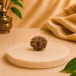 Close-Up Natural 14 Mukhi Rudraksha | Original Certified Nepal Fourteen Mukhi Rudraksha Bead