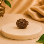 14 Mukhi Rudraksha (Natural & Authentic) | Lab Certified Nepal Rudraksha Bead - Image 3