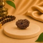 Premium 15 Mukhi Rudraksha Natural Authentic Nepal Lab Certified Bead