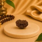 Buy Natural 15 Mukhi Rudraksha from Nepal | Certified Original Fifteen Mukhi Rudraksha for Lord Pashupatinath, Venus (Shukra) & Spiritual Growth