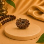 Authentic 16 Mukhi Rudraksha | Lab Certified Nepali Rudraksha Bead - Image 2