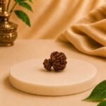 Natural Gauri Garbh Rudraksha from Nepal displayed on a white pedestal with a warm beige background.