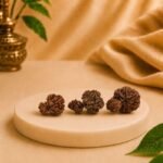 Collection of natural Gauri Garbh Rudraksha beads from Nepal displayed together on a white pedestal.