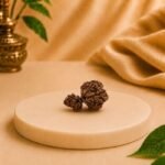 Side angle view of a natural Nepal Gauri Garbh Rudraksha on a white display pedestal.