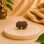 Original Gauri Shankar Nepal Rudraksha featuring two naturally joined beads, Lab Certified authentic Rudraksha sourced from Nepal with premium natural quality.