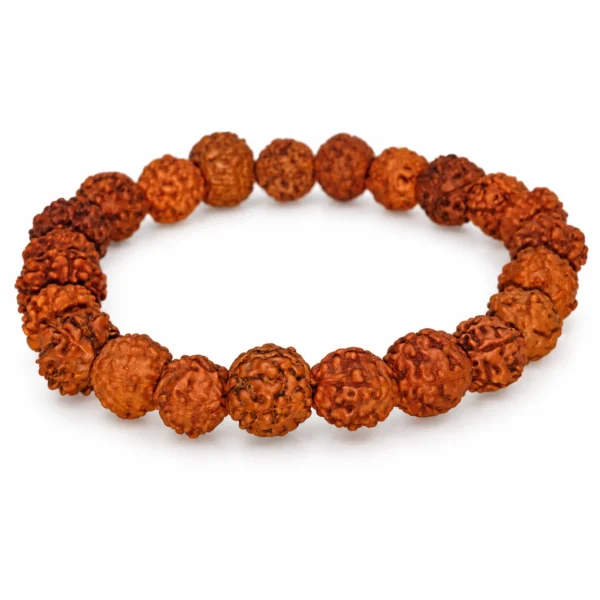 8 Mukhi Rudraksha Bracelet featuring traditional brown eight-faced Rudraksha beads with distinctive surface textures, designed as spiritual beaded jewellery for men and women.