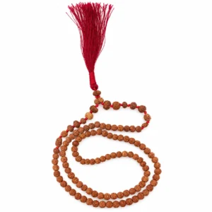 Natural Rudraksha Siddha Mala featuring 1 to 14 Mukhi Rudraksha beads, a traditional spiritual necklace for meditation, prayer, and religious practices.