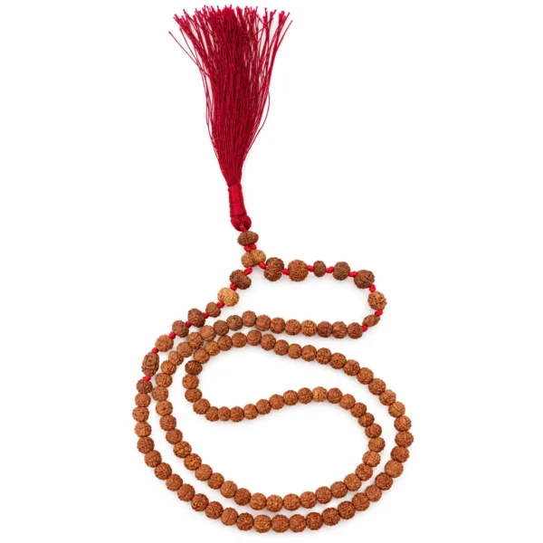 Natural Rudraksha Siddha Mala featuring 1 to 14 Mukhi Rudraksha beads, a traditional spiritual necklace for meditation, prayer, and religious practices.